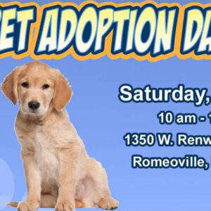 pet adoption day