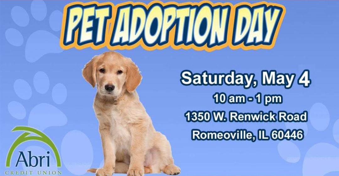 pet adoption day